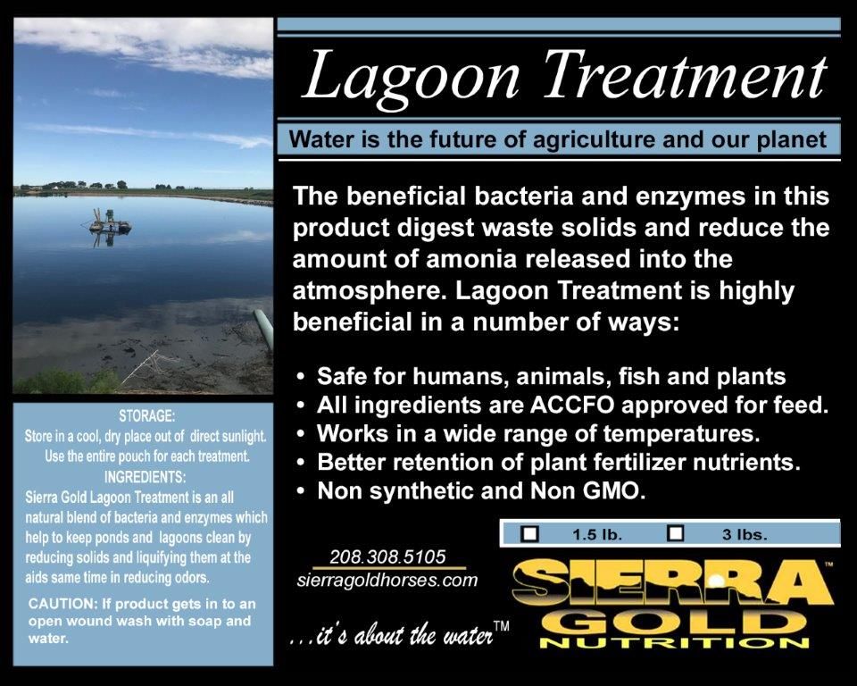 z LAGOON TREATMENT