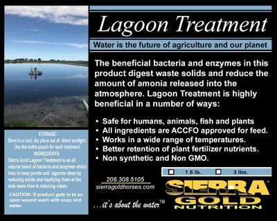 LAGOON TREATMENT