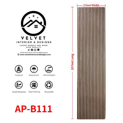 AP-B111
