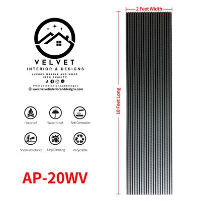 AP-WV20