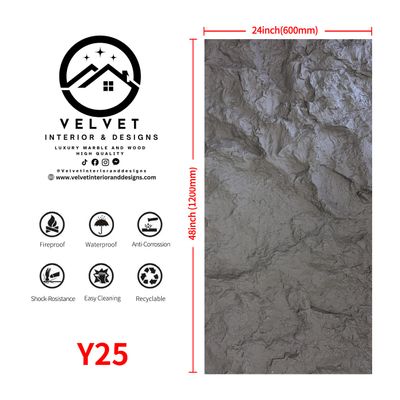 Y25