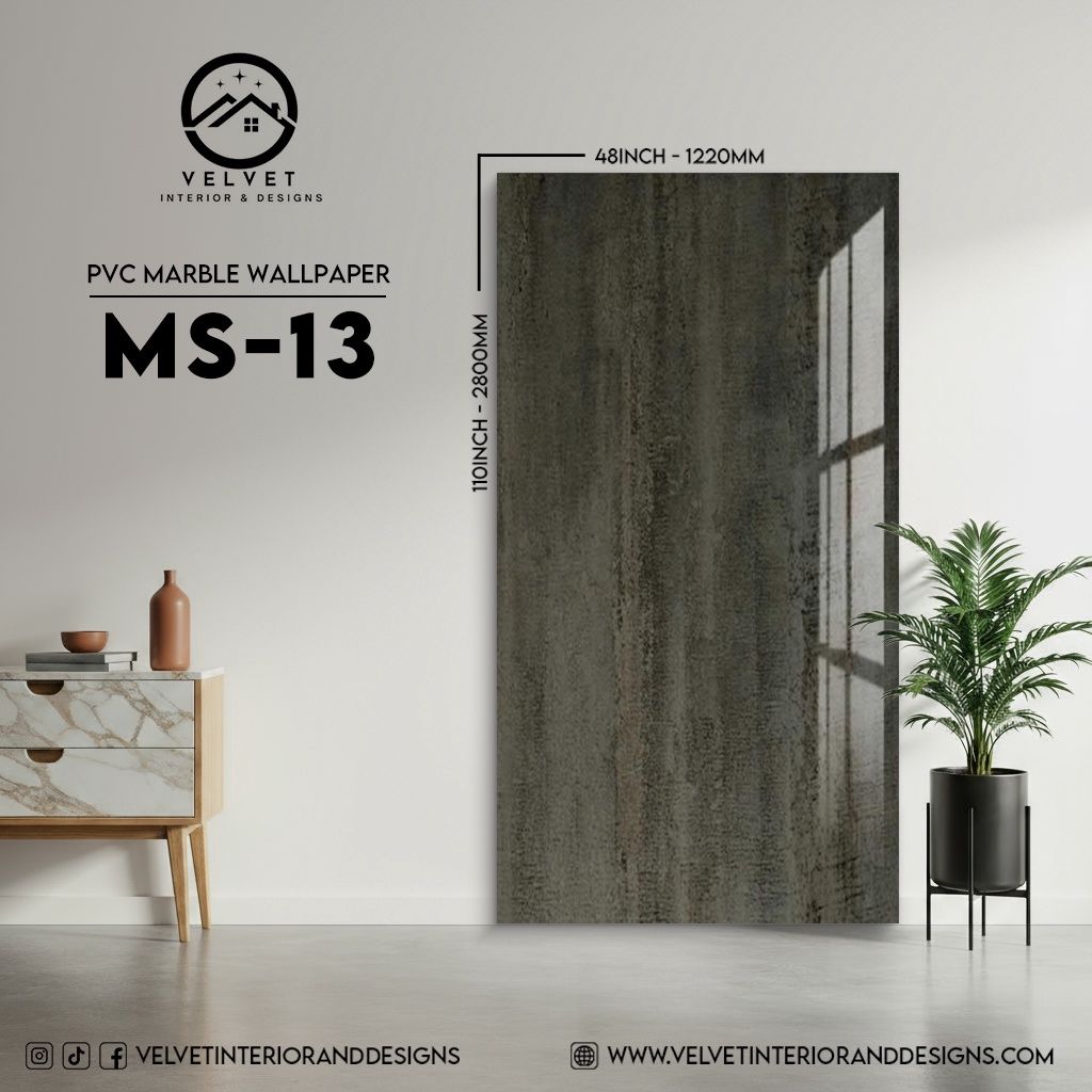 MS-13