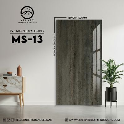 MS-13