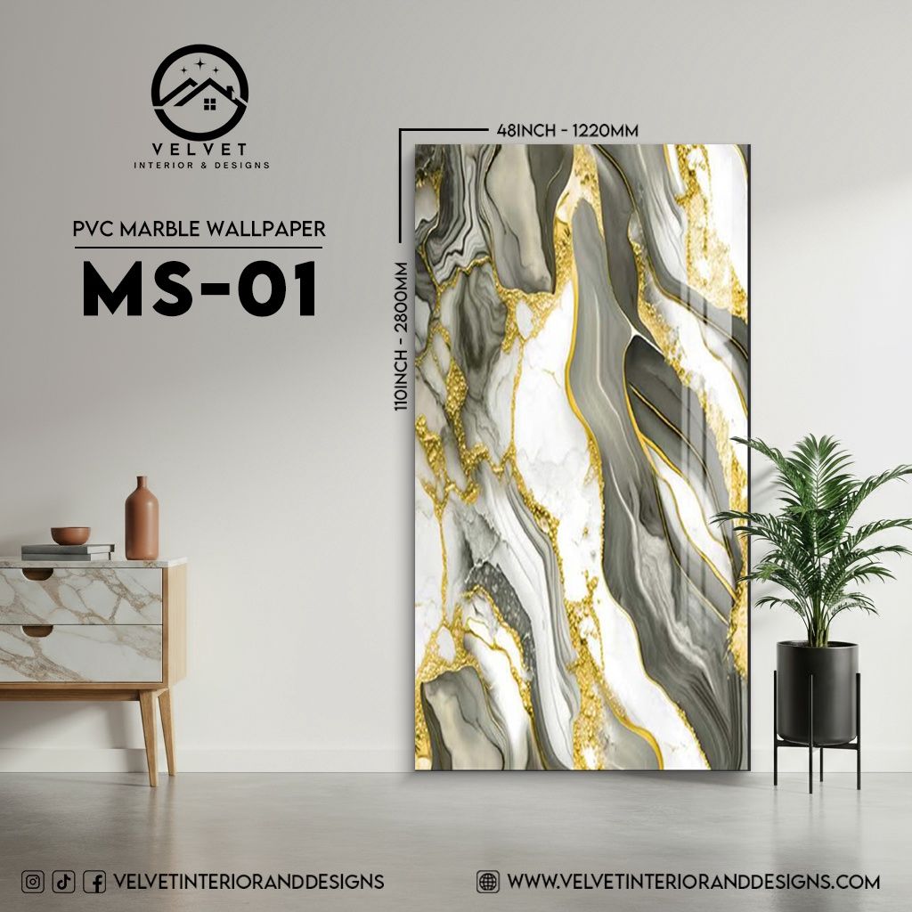 MS-01