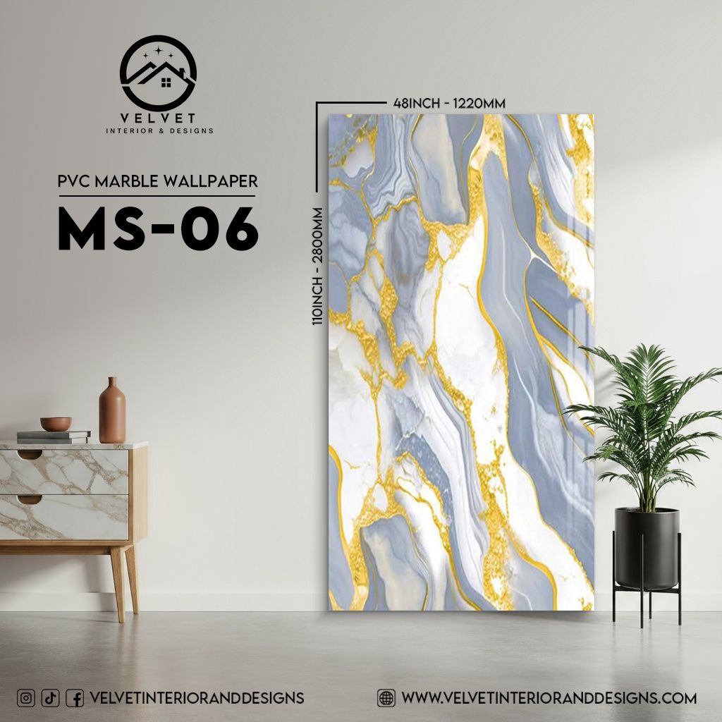 MS-06