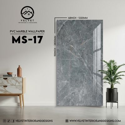 MS-17