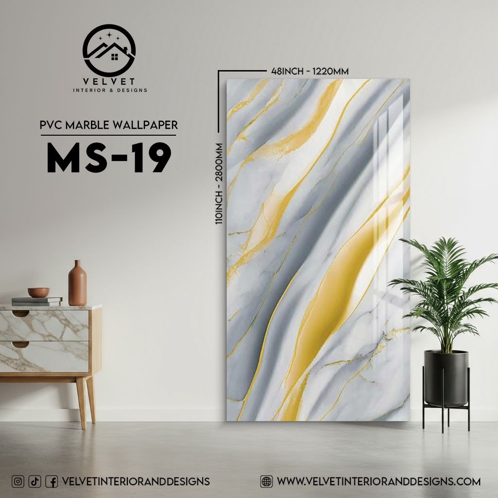 MS-19