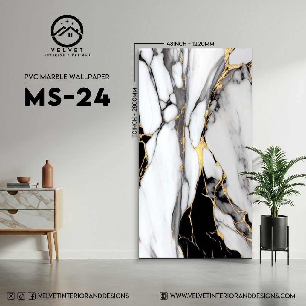 MS-24