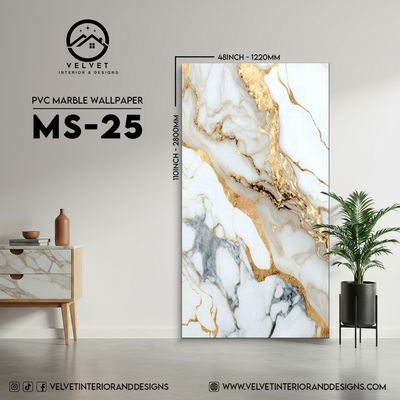 MS-25