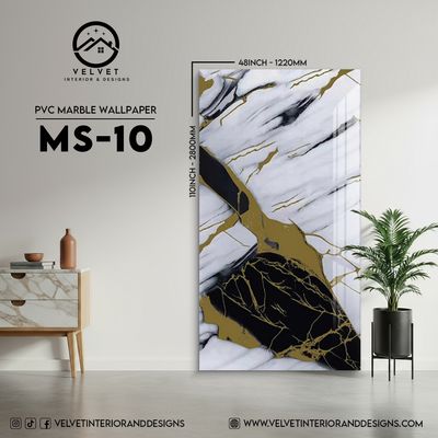 MS-10