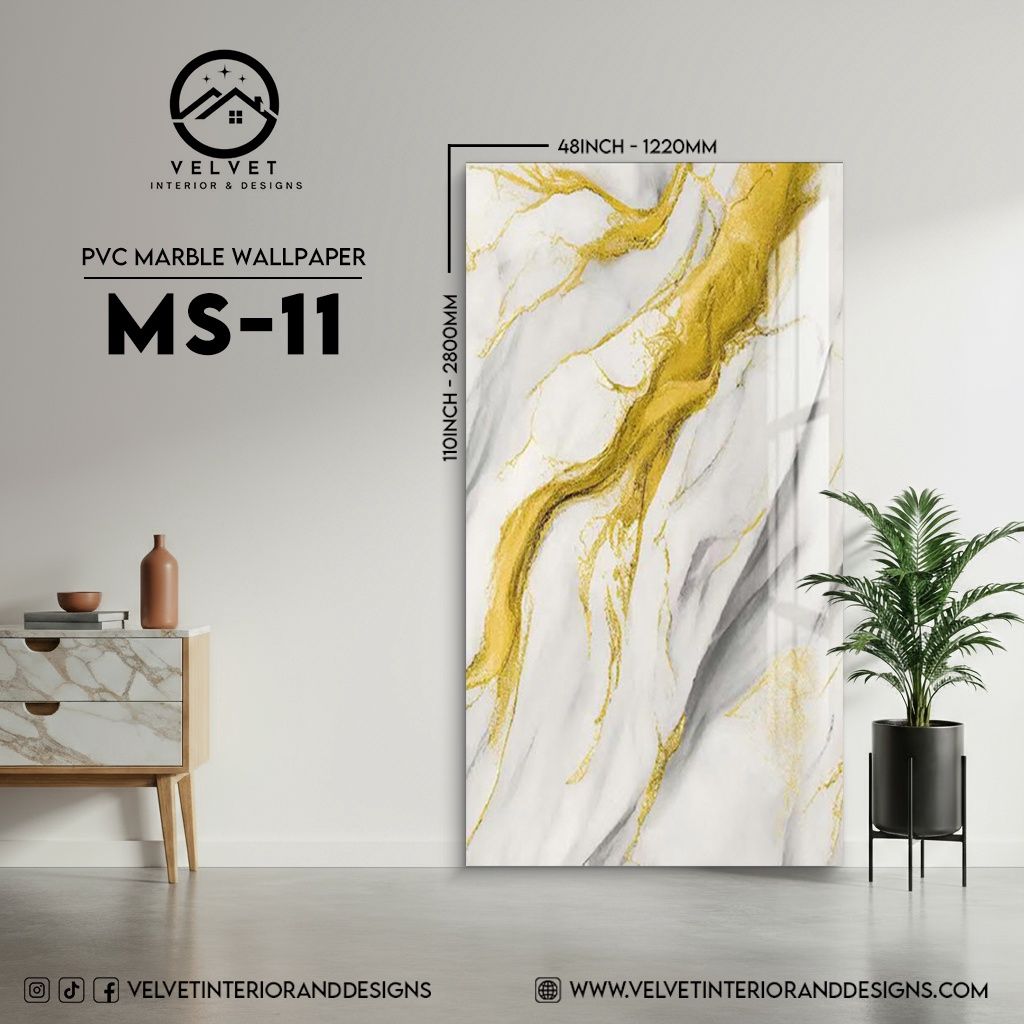 MS-11