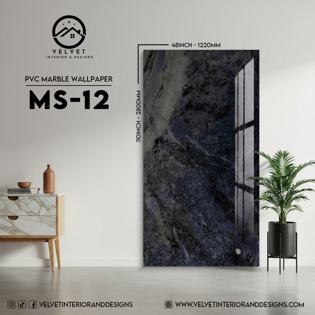 MS-12