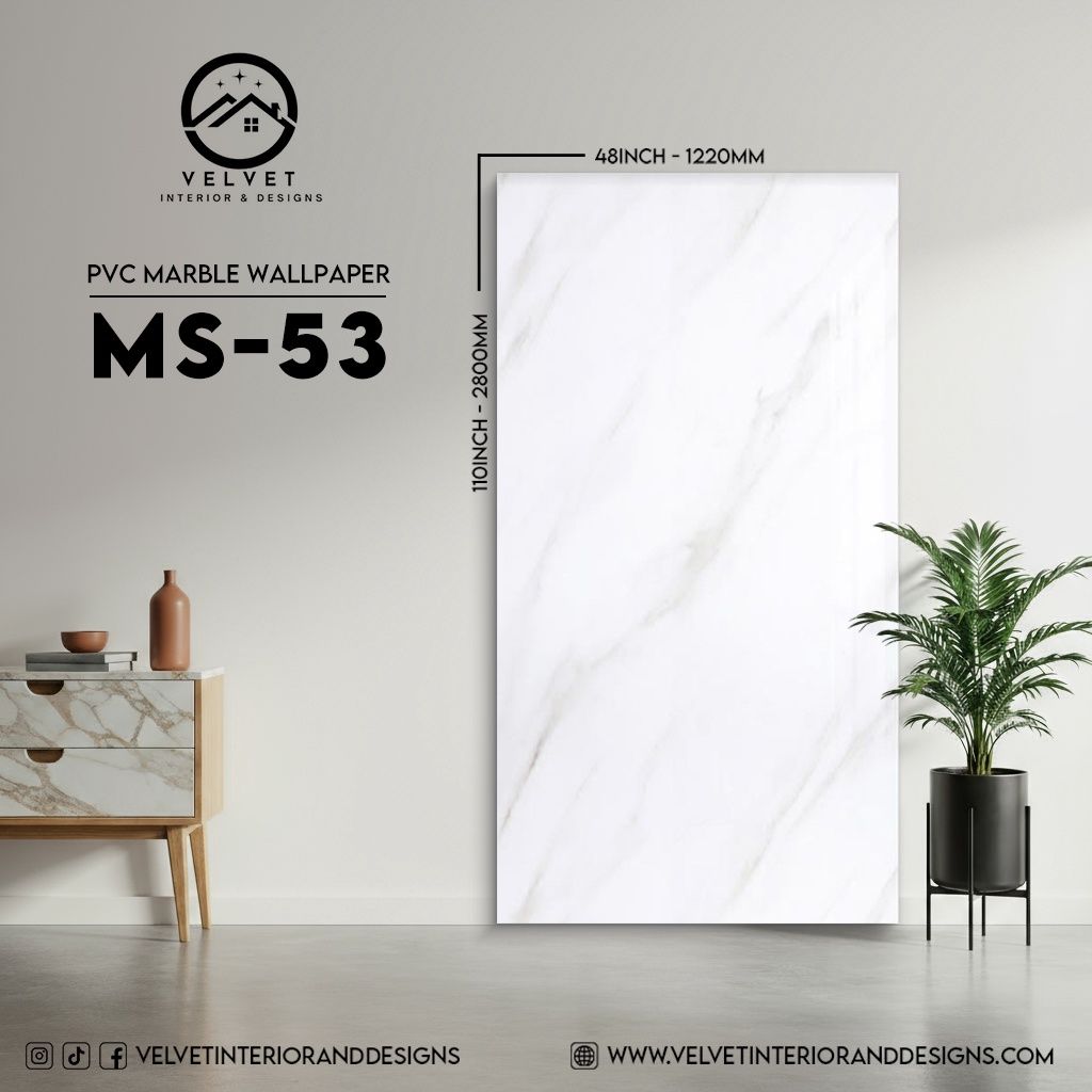 MS-53