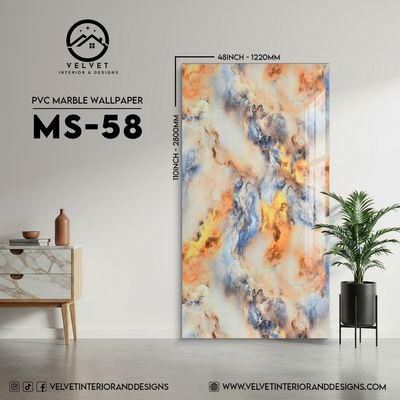 MS-58