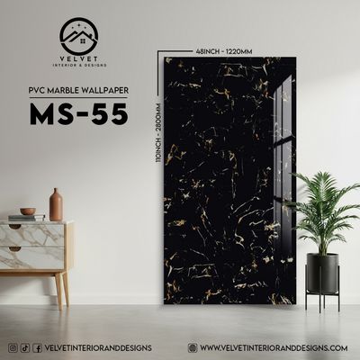 MS-55