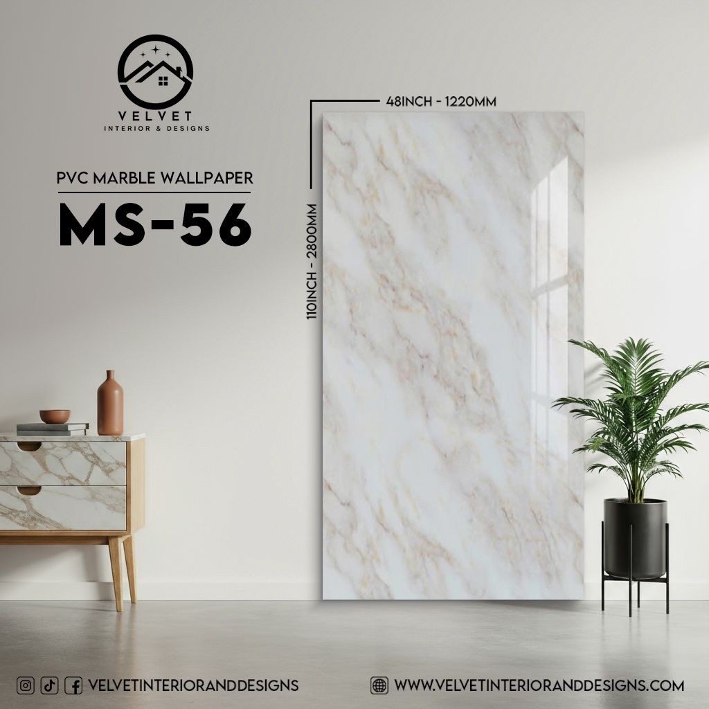 MS-56