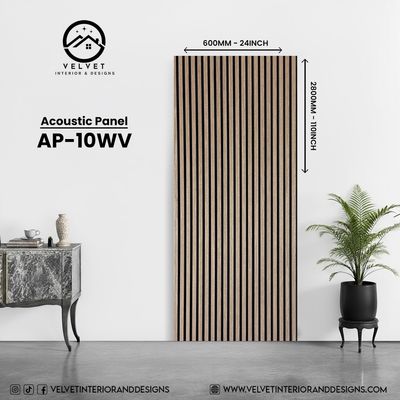 AP-WV10