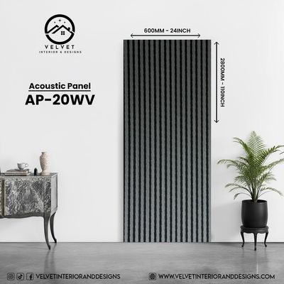 AP-WV20