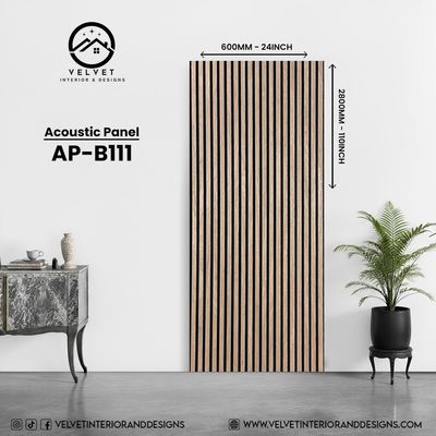 AP-B111