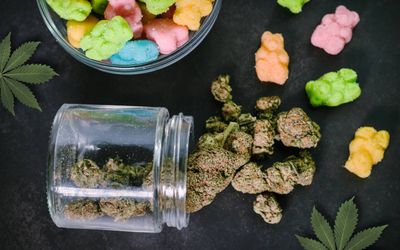 Earth Farms CBD Gummies Benefits, Ingredients