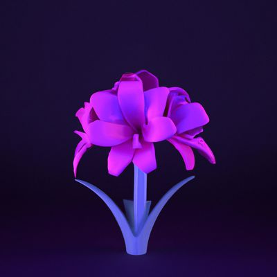 AMARYLLIS