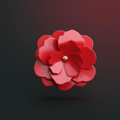 BEGONIA