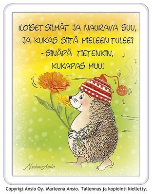 MAGNEETIT KUVILLA