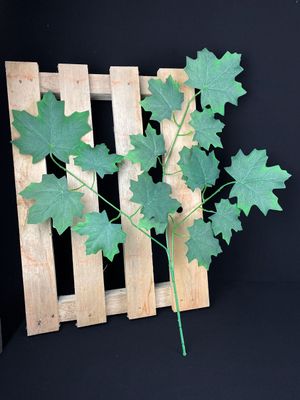 Vaahteran teko-oksa, vihreä