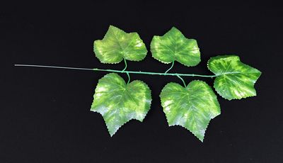 Vaahteran teko-oksa, vihreä