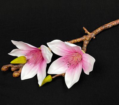 Upea magnolia tekokukka, viininpunainen