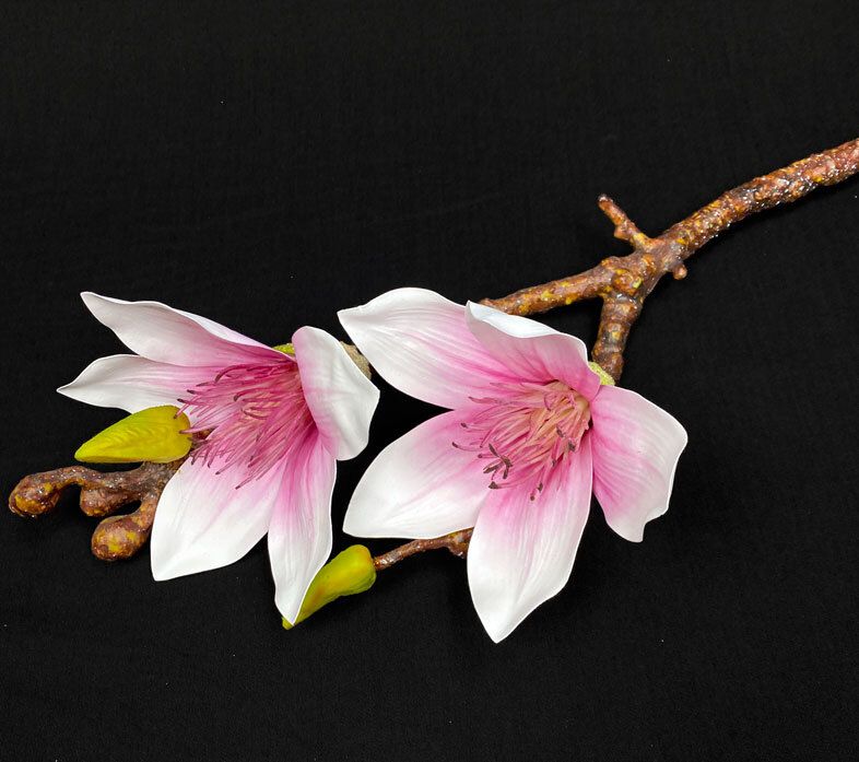 Upea magnolia tekokukka, viininpunainen