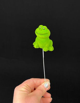 Vihreä koristesammakko varrella, istuva