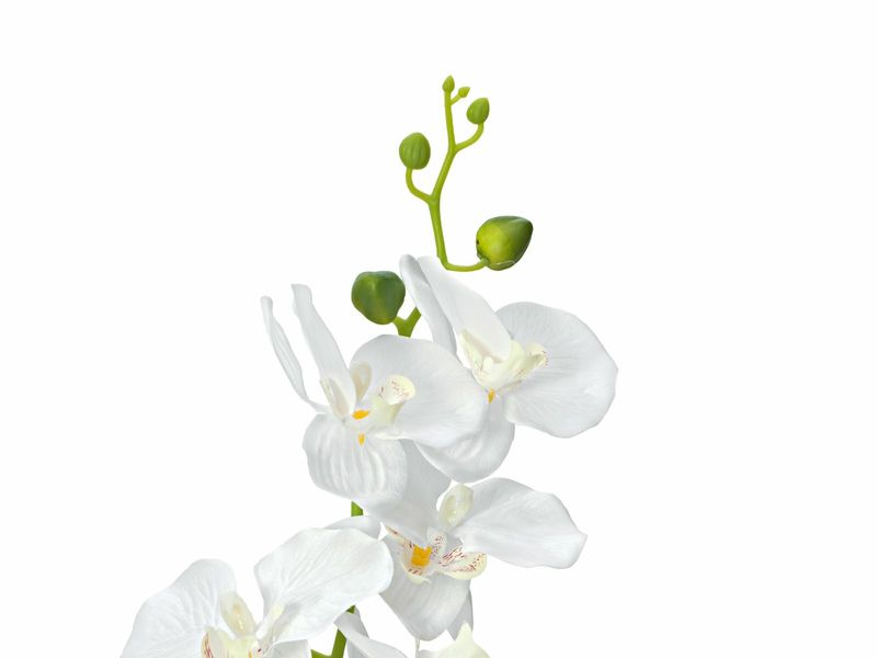 Valkoinen orkidea tekokasvi ruukussa 85cm