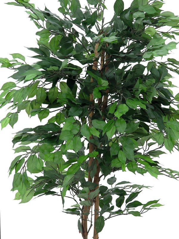 Viikuna tekopuu ruukussa 210cm