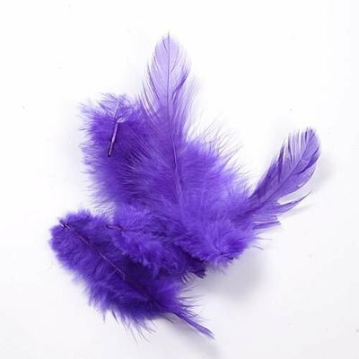 Violetit höyhenet