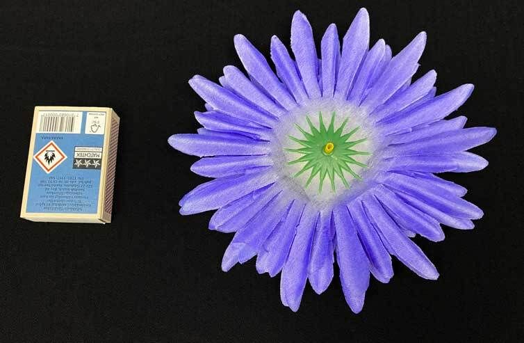 Violetti gerbera kestokukkapää