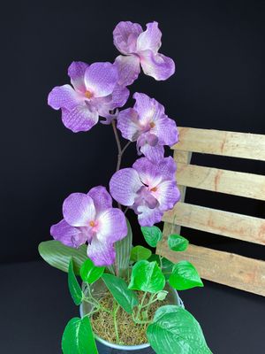 Violetti orkidea tekokukka sinkkiruukussa