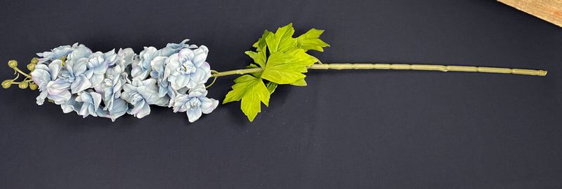 Siniharmaa ritarinkannus kestokukka