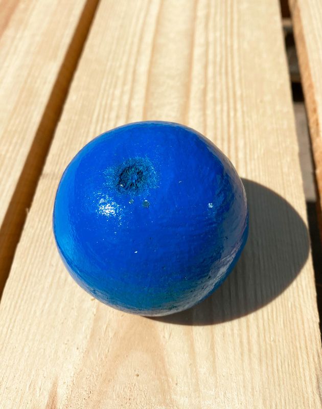 Sininen bell cup luonnontuote