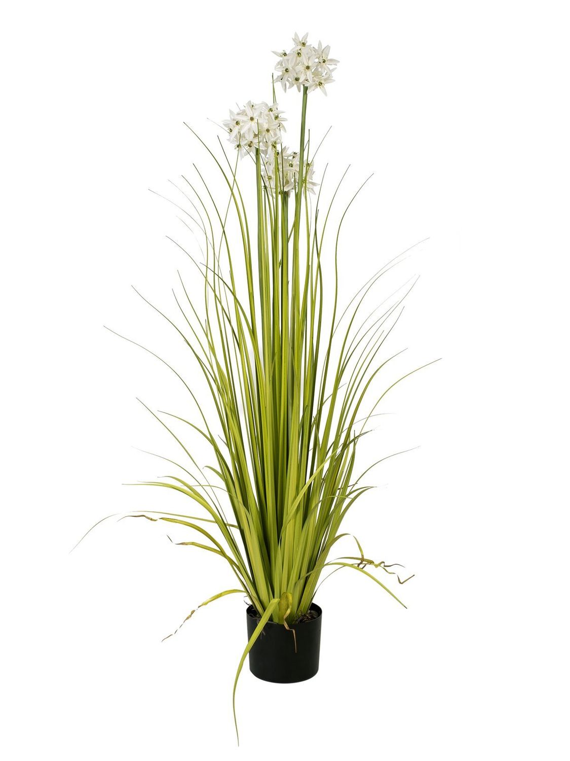 Sisustusheinä ruukussa 120cm, valkoiset kukinnot