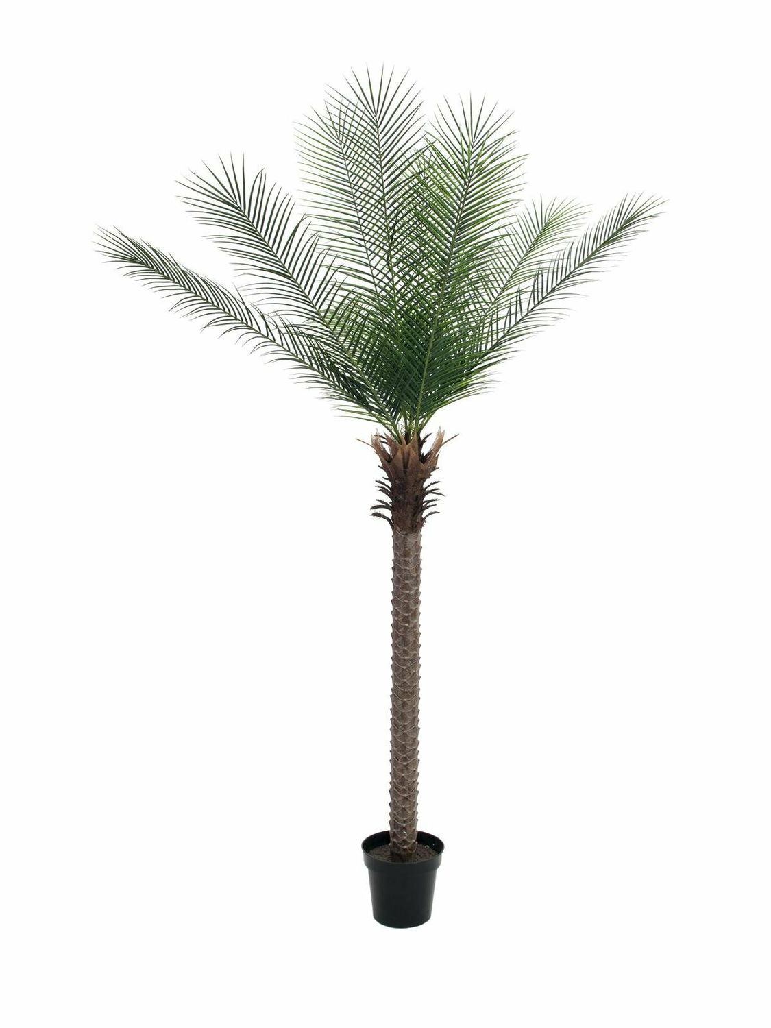 Taatelipalmu tekokasvi 220cm