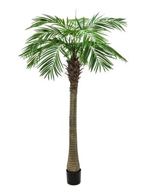 Taatelipalmu tekokasvi 210cm