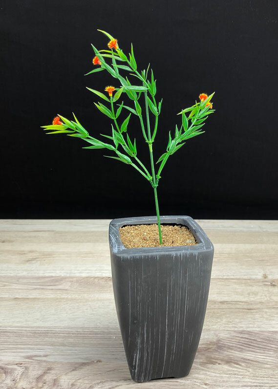Tekoheinäoksa, oranssit kukat
