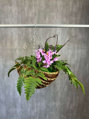 Freesia-amppeli tekokukka