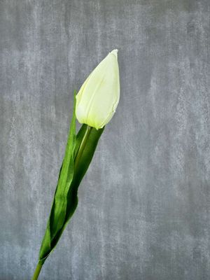 Tulppaani tekokukka