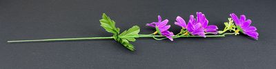 Päivänkakkara tekokukka, violetti