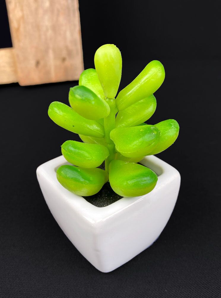 Rahapuu tekokasvi ruukussa 11cm