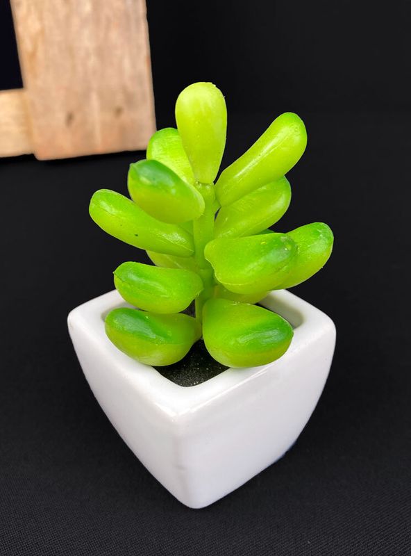 Rahapuu tekokasvi ruukussa 11cm