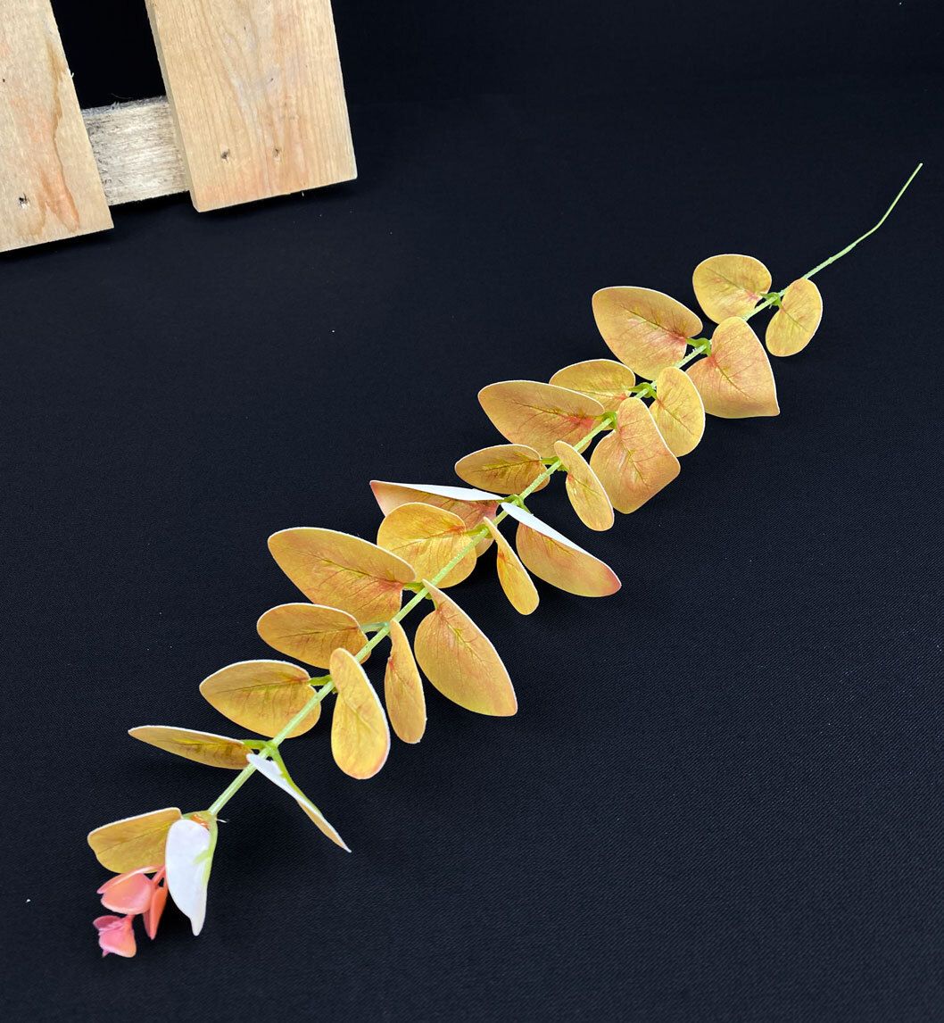 Eukalyptus teko-oksa