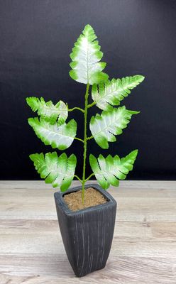 Saniaisen teko-oksa